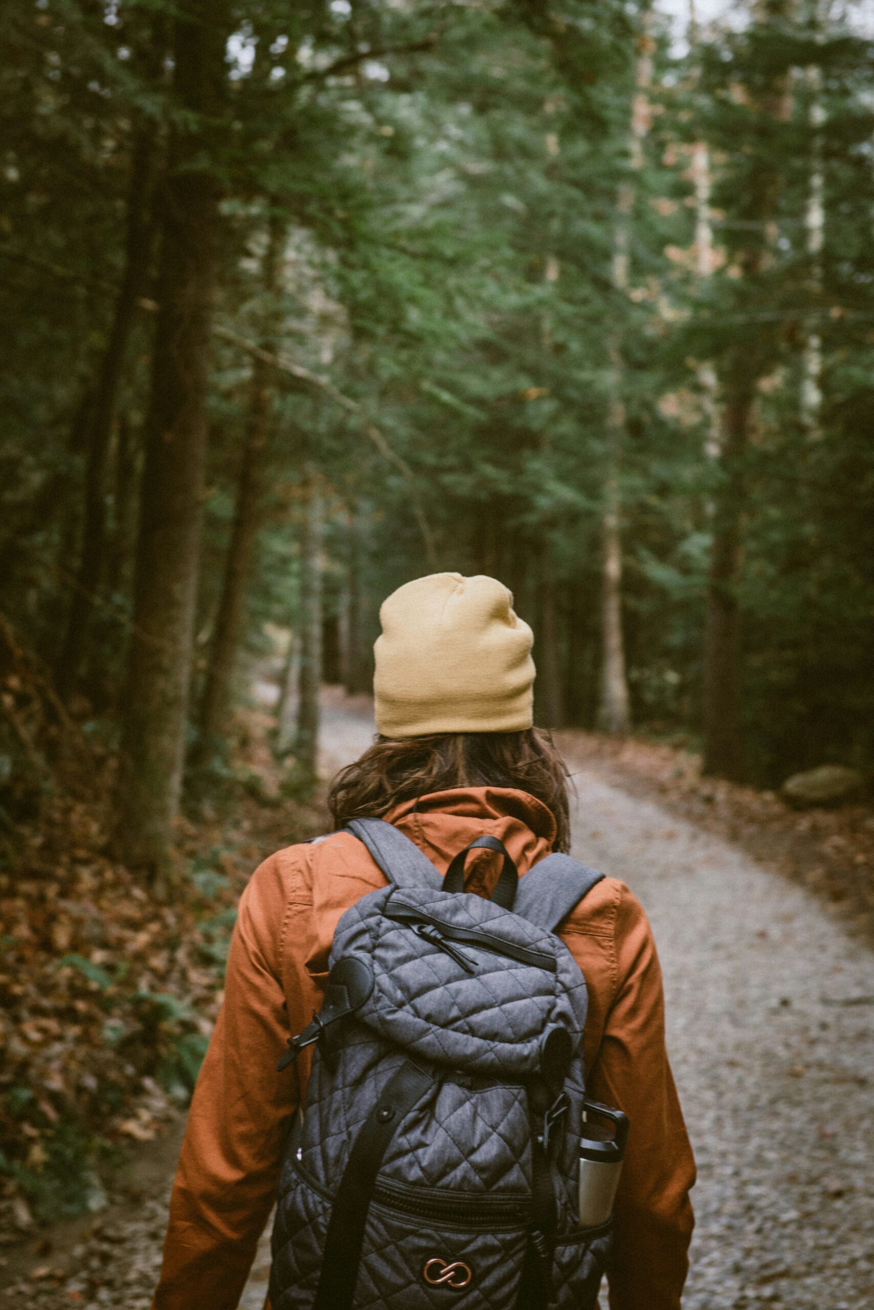 Harzer Wandernadel Wanderpass Wandern in Deutschland Foto von Chad Madden auf Unsplash