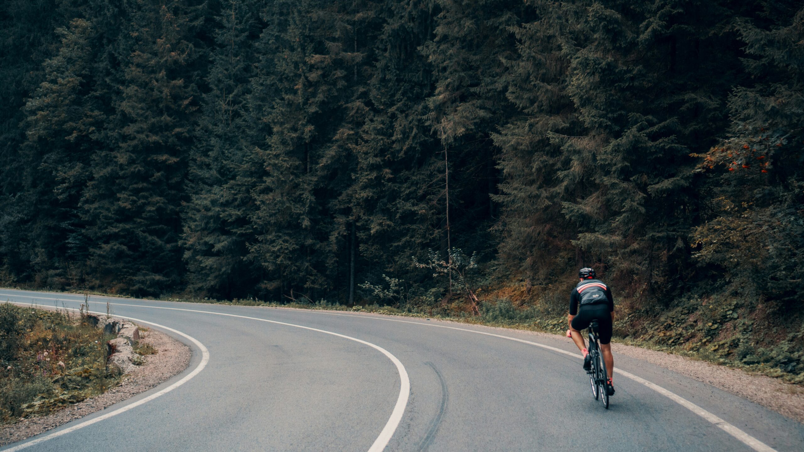 Peaks and plains cycle tour Foto von Viktor Bystrov auf Unsplash
