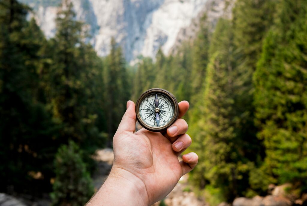 Himmelsrichtung im Wald bestimmen Foto von Jamie Street auf Unsplash
