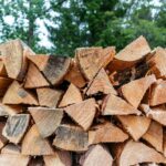 Welches Holz für Kamin und Holzofen Foto von Andreas Pajuvirta auf Unsplash