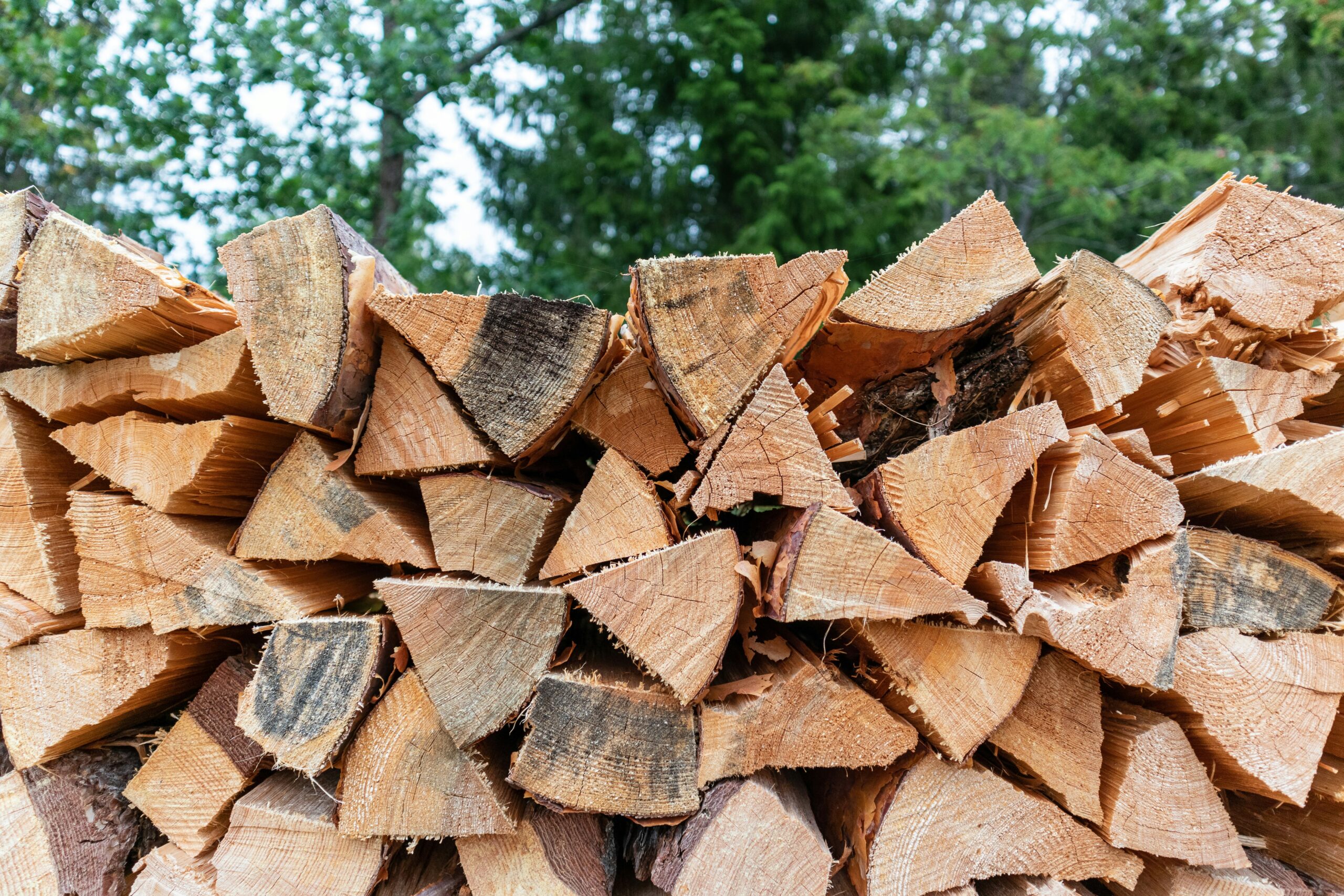 Welches Holz für Kamin und Holzofen Foto von Andreas Pajuvirta auf Unsplash